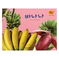 한국헤밍웨이세밀화자연관찰채소