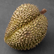 항공직송 생 두리안, 3~3.5kg, 1개