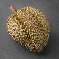 항공직송 생 두리안, 2.5~3kg, 1개