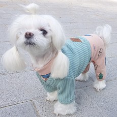 오즈세컨양말