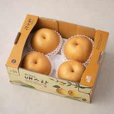 농협 경북 명실상주 자연담은배사랑 화산배 상, 3kg, 1개