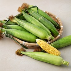 탐라황감 제주초당 옥수수 10입, 10개