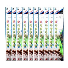 쭈꾸미직결채비