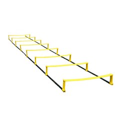 감각통합사다리