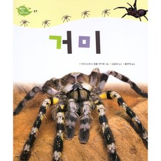 놀라운거미타란튤라책