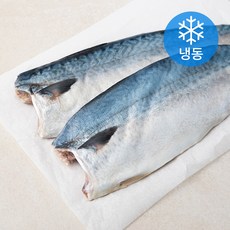 엠수산 안동간고등어 필렛 특대 10팩 (냉동), 1800g, 1개
