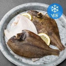 서풍앤쿡 두툼한 손질가자미 (냉동), 1.3kg, 1개