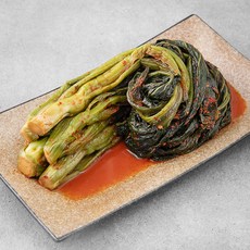 늘해랑 전라도 갓김치, 2kg, 1봉