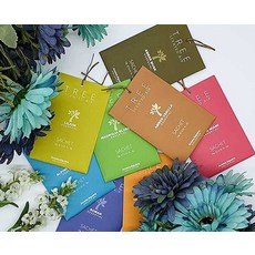 사쉐트리 매그놀리아 블라썸 종이사쉐 본품 L, 20g, 12개