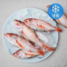 어가명가 금태 5미 (냉동), 470g, 1개