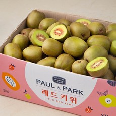 폴앤박 레드키위, 5kg, 1개