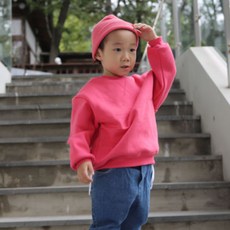 다이슨코랄스트레이트너퍼플