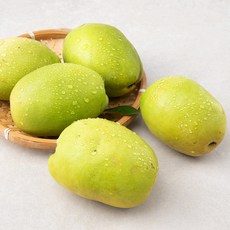 푸드베이스 청도 모과 3~5입, 2kg, 1개