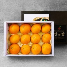 충주씨 GAP 인증 레드탄금향, 3kg, 1개