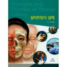 실리프팅의정석