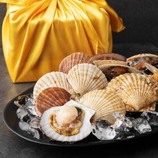 동해안 참가리비 8~10미 선물세트, 1kg, 1개