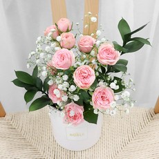블뤼엔 자나장미 센터피스화분, 혼합색상, 1개