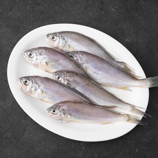 바다자리 국산 생물 참조기 (냉장), 330g(5~6미), 1개
