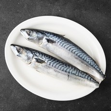 바다자리 노르웨이 자반고등어 내장제거 (냉장), 480g(중 2~3미), 1개