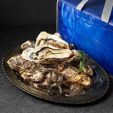 아라보감 남해안 익혀먹는 프리미엄 석화 선물세트, 3kg, 1개