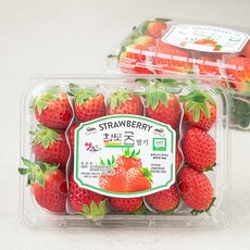 충남오감 GAP 인증 논산 황토굿 딸기, 500g(상), 2개