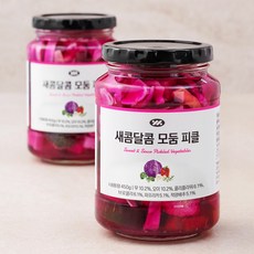 새콤달콤 모둠 피클, 450g, 2개