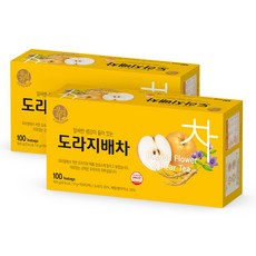 우리차 송원식품 도라지배차, 1g, 100개입, 2개