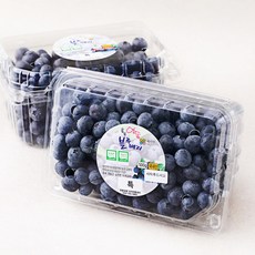 메이빌 영동 무농약 인증 블루베리, 500g(특), 2개