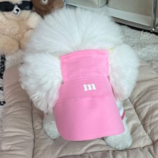 바이담수미 강아지 크레용 썬캡, 핑크