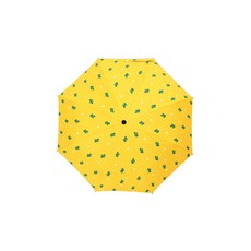 슬림우산