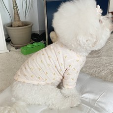 바이담수미-추천-상품