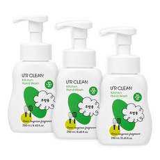 b&b향균핸드워시250ml
