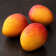 좋은하루 제주는 애플망고지, 1.5kg(특대과,3입), 1개