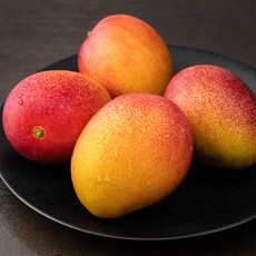 좋은하루 제주는 애플망고지, 1.5kg(대과,4입), 1개