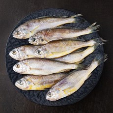 영광수협 몸애좋은 참조기, 1050g(13-17미), 1개