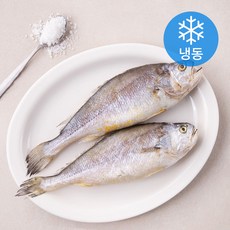 살맛나요 부세굴비 (냉동), 1팩, 480g(2미)