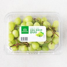 냉동청포도