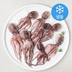 어부네생선가게 국산 통 주꾸미 (냉동), 300g, 1개