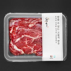 전통참한우 웻에이징 등심 2등급 구이용 (냉장), 1개, 250g