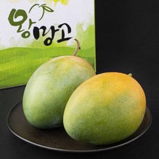 제주 왕망고 선물세트, 3kg(3입), 1개