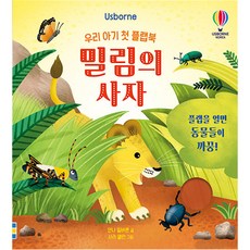 유아플랩북