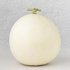 올바른과일 에어포장 화이트드림 멜론, 1개, 1.5kg