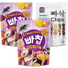 빠삭칩