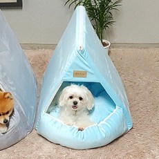두기펫 반려동물 쏘옥 극세사 삼각 하우스, 스카이블루, 1개