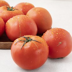 ONLYFARM 주스용 토마토, 4kg, 1박스