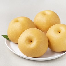 산지직송 저탄소 인증 안성 신화 배, 2kg(4~5입), 1개