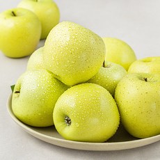 푸드베이스 GAP 인증 산지직송 시나노골드 사과, 1박스, 2.5kg(11~13입)