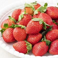 산지직송 예담 설향딸기, 500g(상), 1개