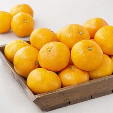 서귀포 감귤, 1박스, 10kg(소과)