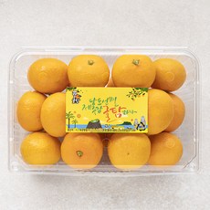 귤탐 당도선별 감귤 로열과 S~M, 1팩, 1.5kg